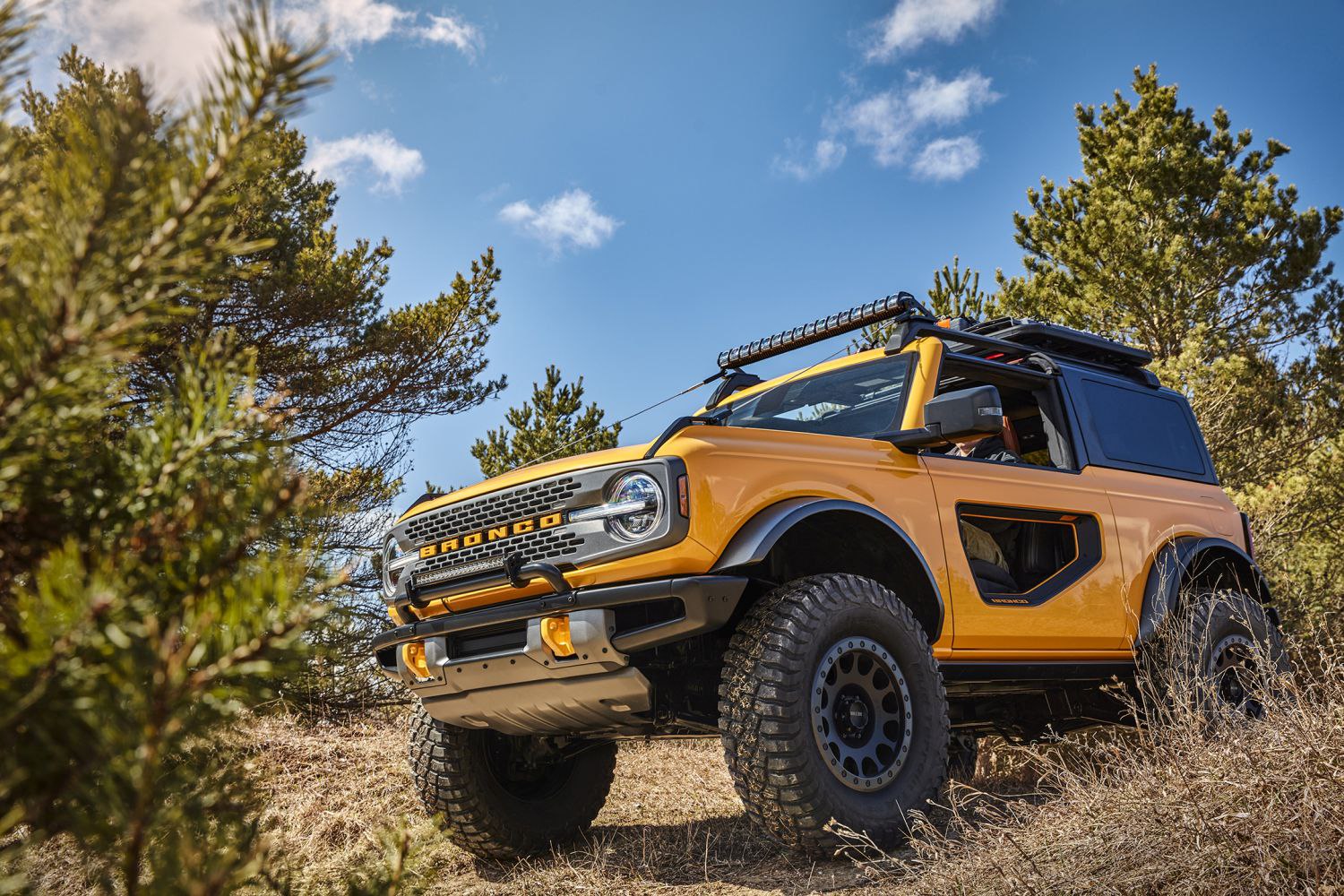 D3 ford bronco